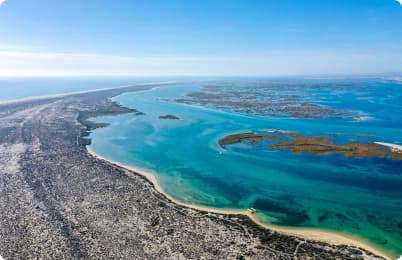 Plage | Animaris