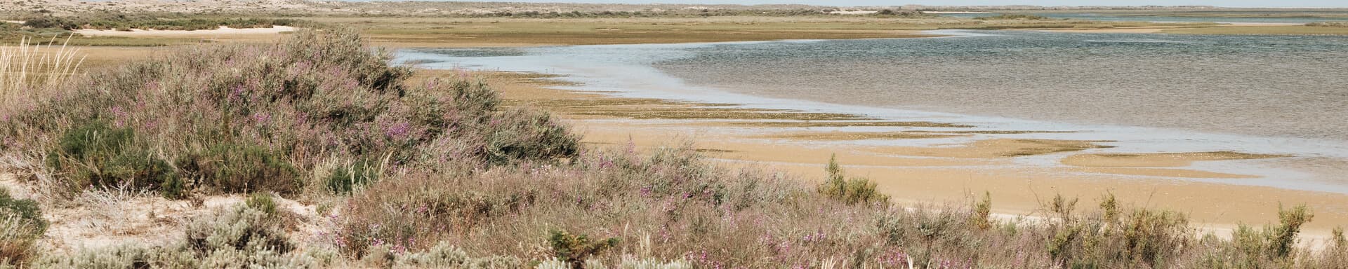 Conservação da Natureza | Animaris