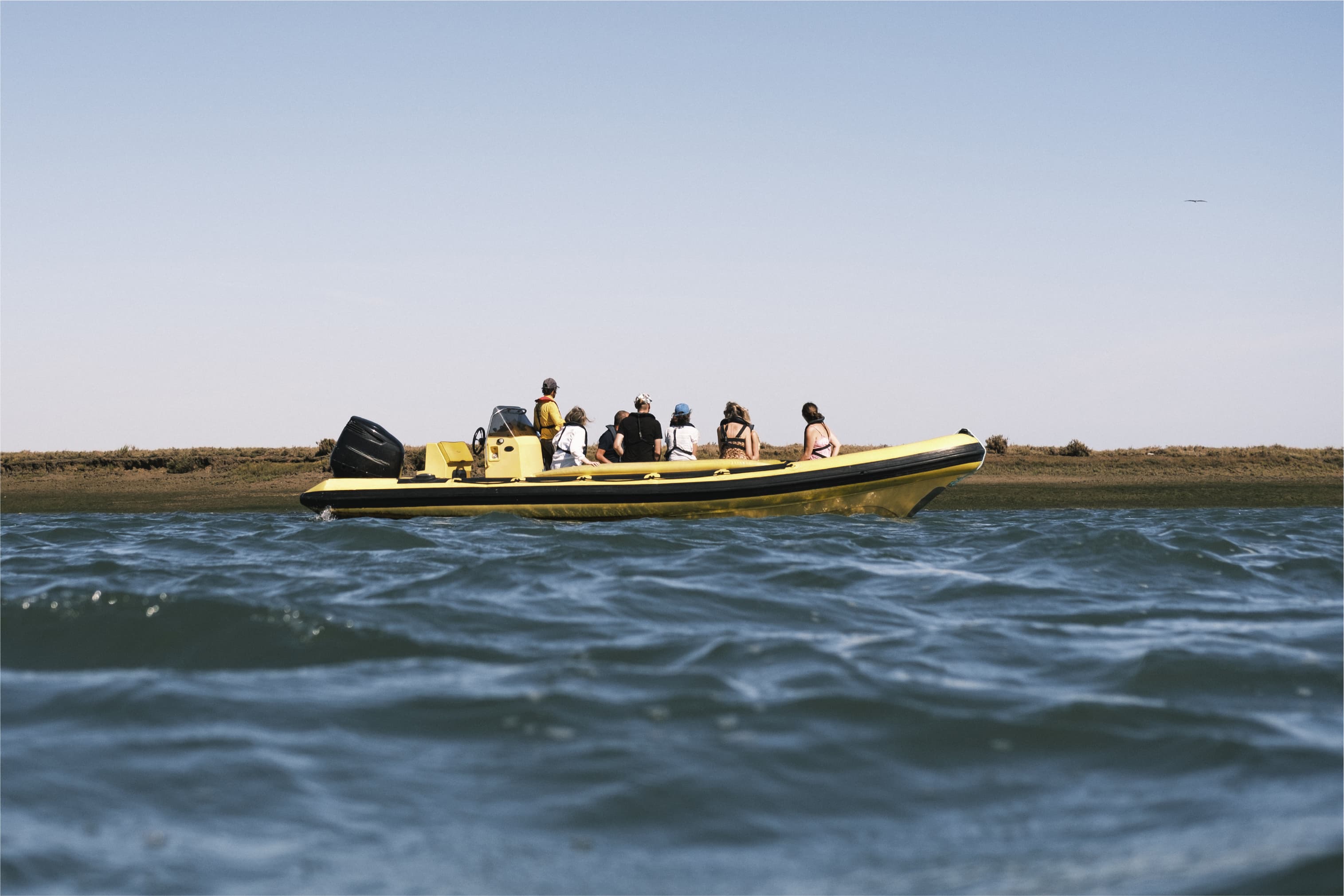 Estaminé | Animaris