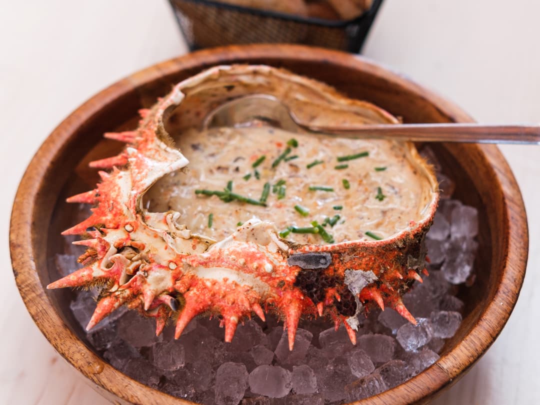 Gallery Food Image